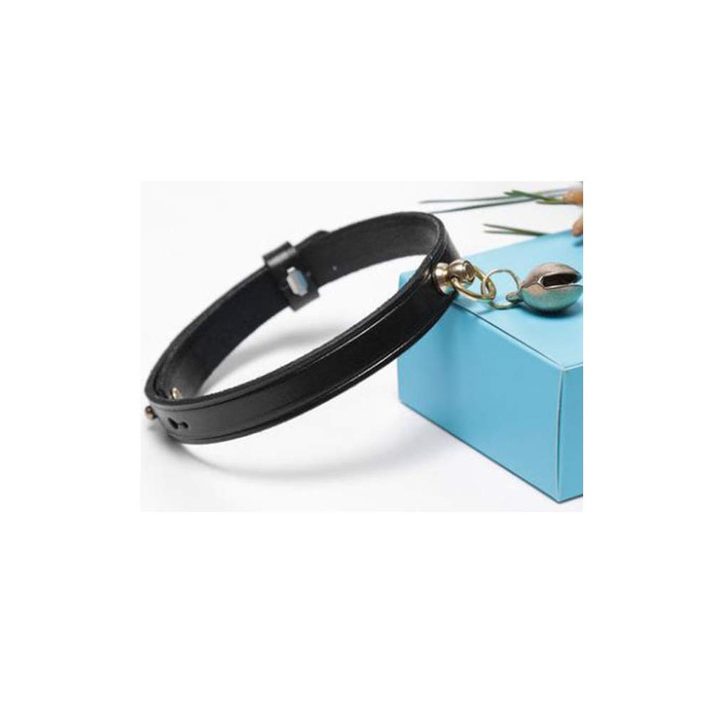 Collier pour animaux de compagnie REYG le confort en cuir noir pour votre protégé