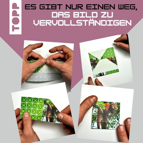 Foldology 2 – Meistere die Origami-Rätsel. 100 herausfordernde Falträtsel für helle Köpfe und geschickte Hände.