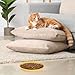 Apricitie 10 Stück Katzennapf Flach Katzen Futternapf 5.9 Zoll Runder Katzenteller Katzenschüssel Bunt Katzenfutter Napfset Für Trockenfutter Und Nassfutter