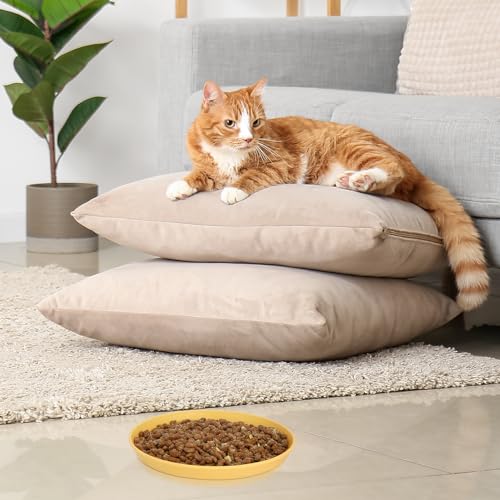 Apricitie 10 Stück Katzennapf Flach Katzen Futternapf 5.9 Zoll Runder Katzenteller Katzenschüssel Bunt Katzenfutter Napfset Für Trockenfutter Und Nassfutter