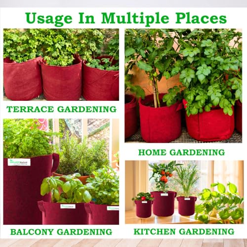 Image of ORGANIC BAZAR 24x24 Very Big Size Tree Grow Bag for Fruit Plants, Premium Geo Fabric 450 GSM Geo Fabric Large Plant Bags | (Pack of 1)