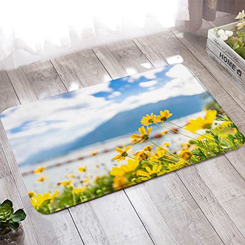 Bishilin Badezimmer Teppich rutschfest Waschbar, Türmatte 40x60 Innen Berge und Gänseblümchen Muster Fußabtreter Haustür Außen