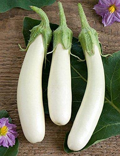 Audbhidhi Vegetable Seeds | brinjal white long Hybrid Vegetable Seeds For home Gardening ( 50 SEEDS ) (50) (B09H1CFQSD) Amazon Price History, Amazon Price Tracker