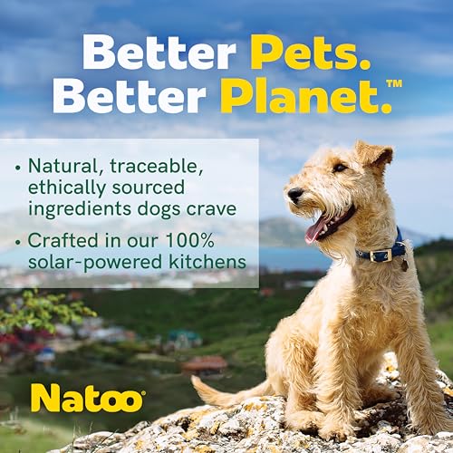 Image of NATOO Dog Food Topper, Salmon with Brown Rice, 3 oz, Case of 20 | For Picky Eaters, Wet Meal Topper for Dry Food, For Dogs & Puppies, Limited Ingredient, Dog Treat