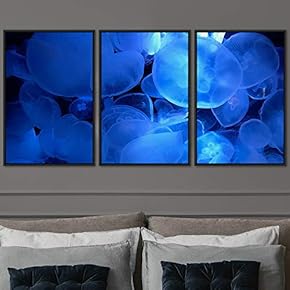 signwin 3 Piece Framed Canvas Wall Art Colorful...