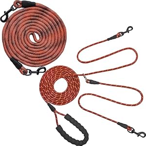 BTINESFUL 12ft Dog Tie Out Rope + 12ft Long Dog Leash for 2 Dogs