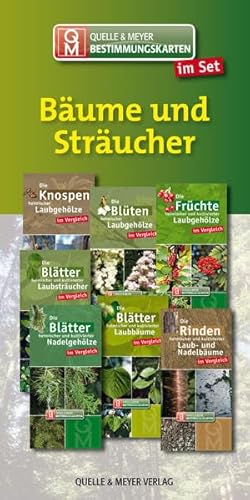 Bestimmungskarten-Set „Bäume und Sträucher“ (Quelle & Meyer Bestimmungskarten)