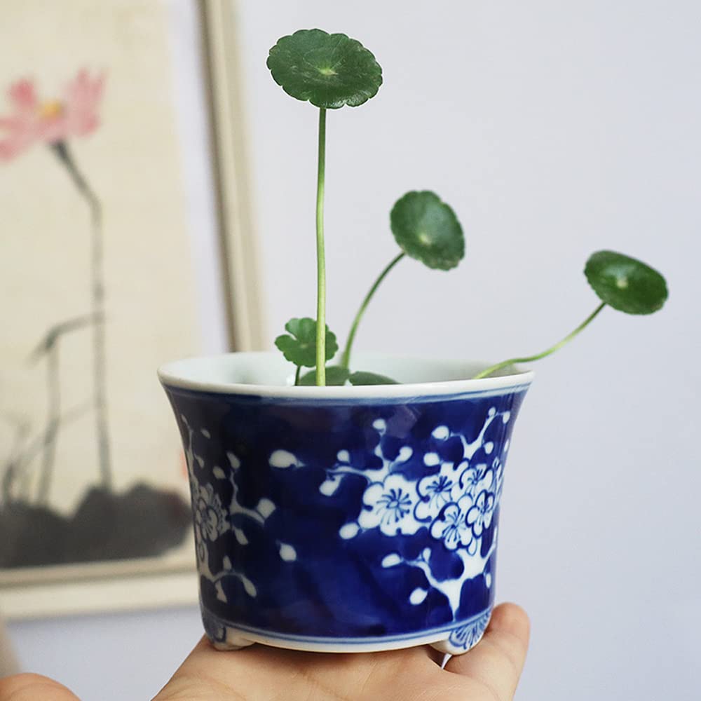 Jingdezhen Chinoiserie Keramik handbemalt blau und weiß Porzellan Pflaumenblüte Spargel Sukkulenten Bonsai Zimmerpflanze Topf Dekoration Dekoration