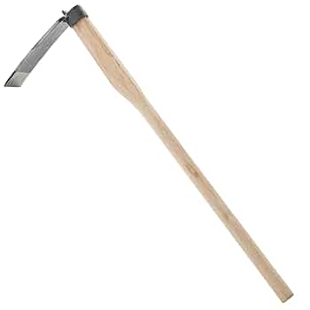 たけのこ 51WrKCOJNHL._UF350,350_QL50_.jpg