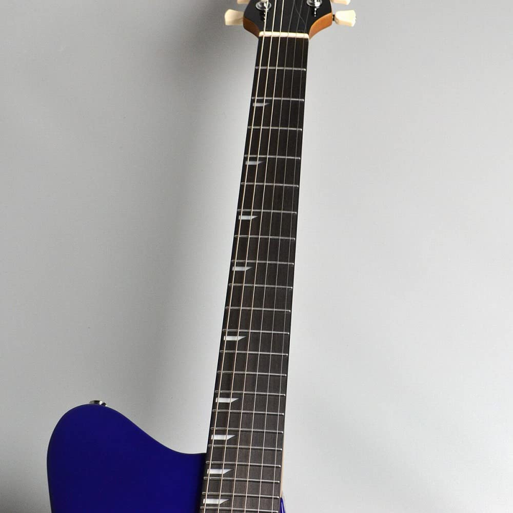 Amazon | RYOGA SKATER/LE/Luminous Blue s/n:RE21Y043 エレキギター