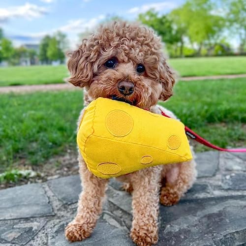 CHEWFFON Hundespielzeug, Plüsch Quietschende Hundespielzeuge, Hund Geburtstag Spielzeug, Niedliches Geschenk Gefülltes Hundespielzeug, Spielzeug für kleine, mittlere und große Hunde-Käse