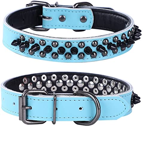 Pimaodog Collier chien clouté cuir - Bleu, petit/moyen