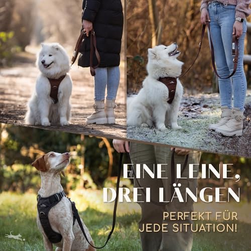 FREUDENTIER Hundeleine 2m – Verstellbare Führleine - Weich gepolstert, liegt angenehm in der Hand - Robuste Leine Hund für mittelgroße & große Hunde - Model Clyde (Braun, 25mm)