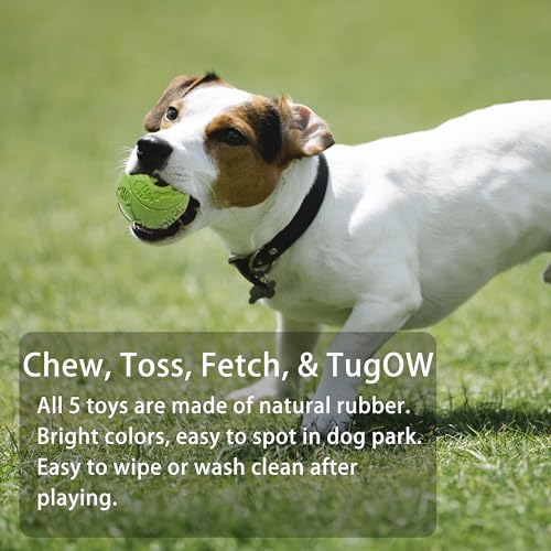 Jalousie Plush & Rope Dog Toys - Squeaky, Premium Rubber (5 Pack for Small/Medium Dogs & Puppies)