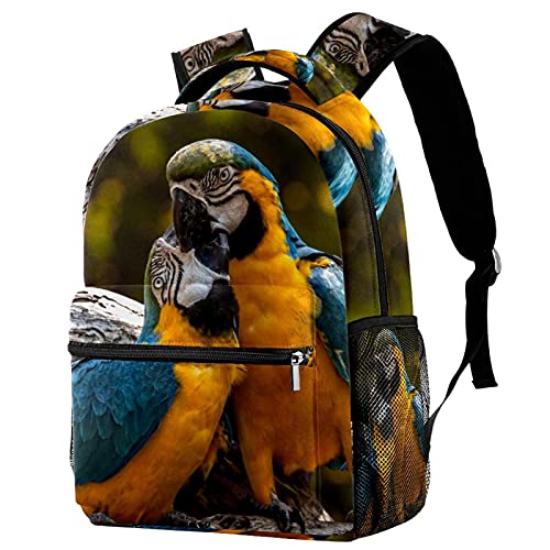 Sac à dos pour perroquets et oiseaux amoureux avec porte-bouteille