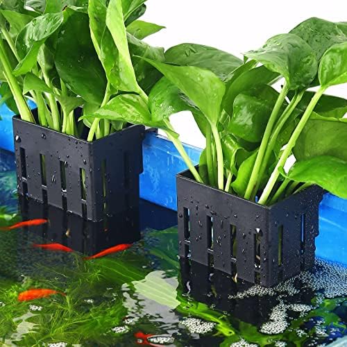 Upgraded Aquarium Plant Holder with Hooks and Suction Cups for Fish