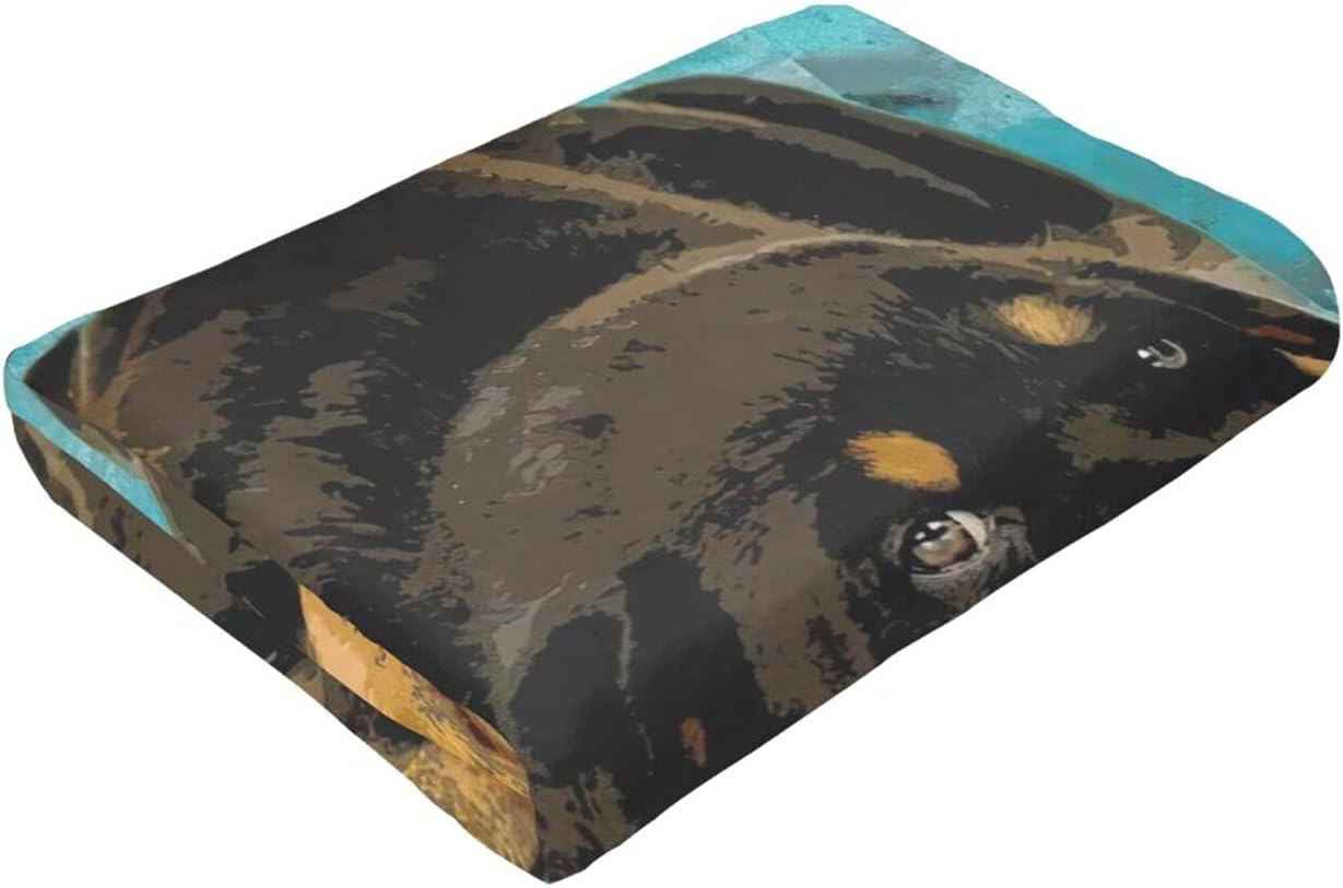 HAZIMCS Flannel Fleece Plush Throw Blanket,Cute Rottweiler Puppy Farm Dog Lazy Animal Pattern Throw for Spring Recliner, Air Conditioning Blanket Quality Washable 80x60 inch Black 80inchx60inch