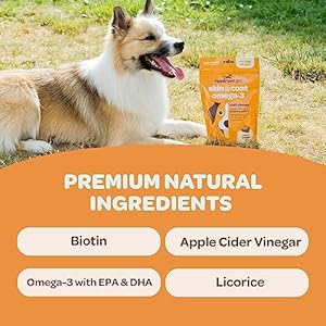 Healthy Dog Skin and Coat Supplement | Nourishing Omega 3 Fish Oil for Dogs Skin and Coat Plus Heart and Joint Support with EPA DHA & Vitamin E | Mange Allergy & Itchy Skin Relief for Dogs | 90 Chews