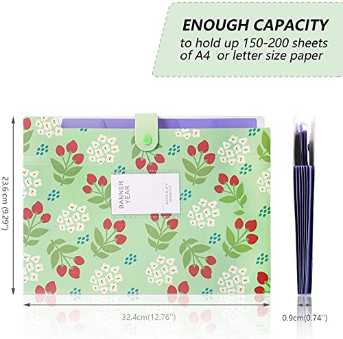 Image of Corslet Certificate Expanding File Folders for Documents Large Size A4 Paper Holder Organizer School Office Home 1 Pc (Color as Per Availability)