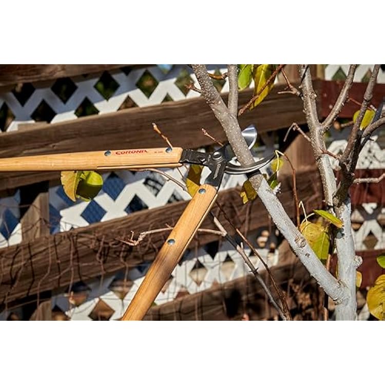 Corona Tools WL 3351 26 Bypass Loppers Heavy-Duty Branch Cutter for Trees, Shrubs & Landscaping