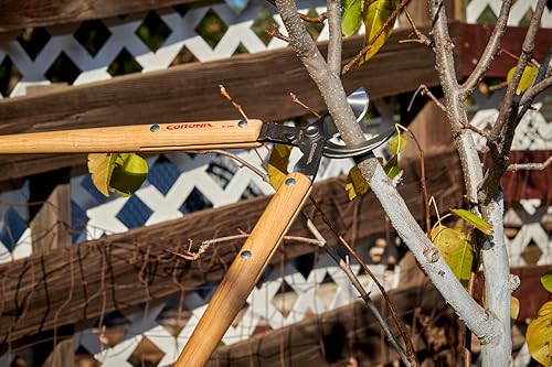 Corona Tools WL 3351 26″ Bypass Loppers – Heavy-Duty Branch Cutter for Trees, Shrubs & Landscaping by Corona Clipper - Image 2