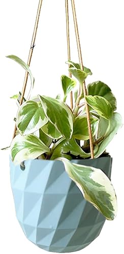 Miniatura 2 de Chive - Juego de 2 macetas colgantes redondas Virago de 3.5 pulgadas para suculentas y plantas de casa, macetas, paquete de 2 a granel (verde)