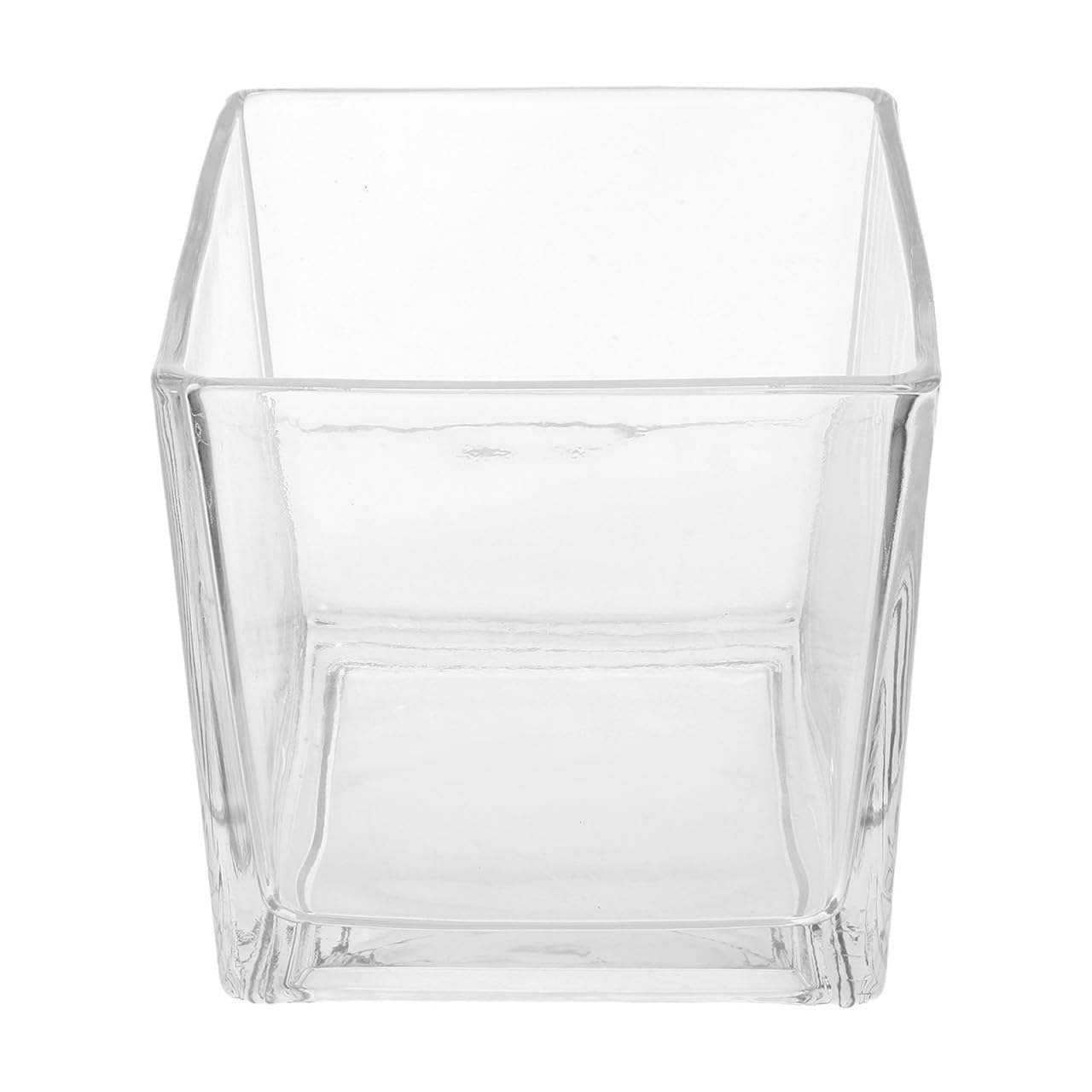 Vase Hydroponique en Verre Robuste de Haute Qualité 15,2cm