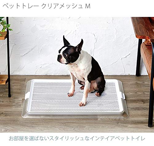 Amazon | Bonbi ボンビアルコン ボンビ ペットレー クリアメッシュ M