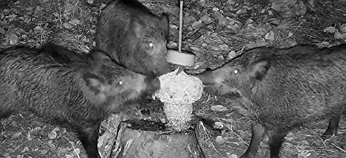 Foto von Wildlutscher Spezial Leckstein „Süßer Mais“ | Extra Harter Wildleckstein | Für Schwarzwild, Gamswild & Raubwild | Bis zu 10 Wochen Wirkung 3 kg (9,97 € / kg)