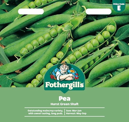 Mr Fothergills Pea Hurst Green Shaft 300 Seeds Mar-Jun Green