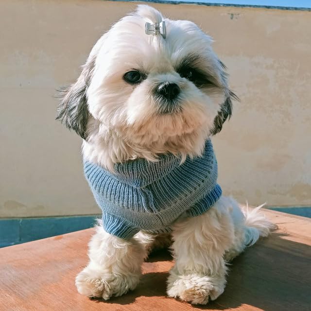 Image of Lulala Turtleneck Dog Sweater - Winter Coat Apparel Classic Cable Knit Clothes with Leash Hole for Cold Weather, Ideal Gift for Pet (Blue, 8 Inch)