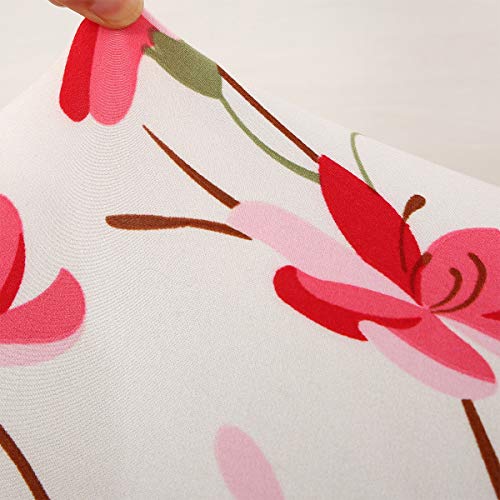 WINS Fodera per divano letto con clic clac senza