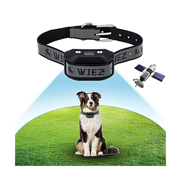 GPS Wireless Dog Fence, Electric Dog Fence with GPS, Range 65-3280 ft, Adjustable Warning Strength, Rechargeable, Upgraded Pet Containment System, Harmless and Suitable for All Dogs GPS Wireless Dog Fence, Electric Dog Fence with GPS, Range 65-3280 ft, Adjustable Warning Strength, Rechargeable, Upgraded Pet Containment System, Harmless and Suitable for All Dogs
