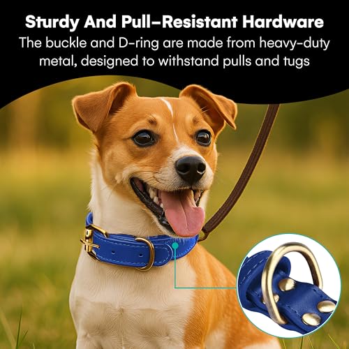 Black Rhino Coleiras de couro azul para cães - Coleira resistente ajustável para todas as raças - Co
