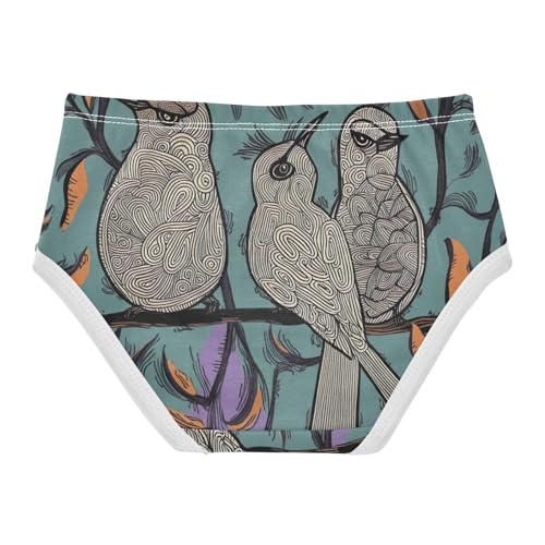 Girls Underwear Toddler 2t Cotton Panties Little Girl Cartoon Undies Kids Briefs Whimsical Birds Teal2