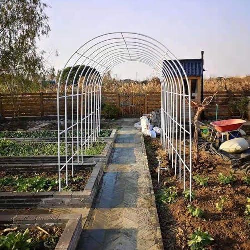 Arche en métal avec base robuste et finitions soignées pour jardin et cour extérieure - 5