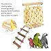 Parrot Tent Ladder with Hammock, Universal Bird Hanging Tent for Parrots and Hamsters, 4 Seasons Decorative Pet Accessory with Climbing Bridge, Open Design for Easy Entry and Exit,