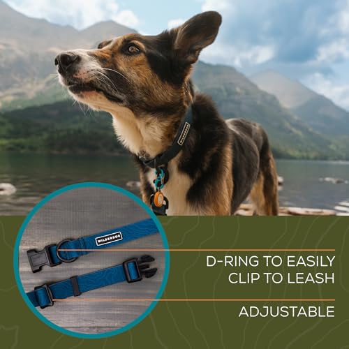 Image of Wilderdog Waterproof Dog Collar - Repels Water & Dirt - Medium 13 inch-18 inch - Pacific Blue