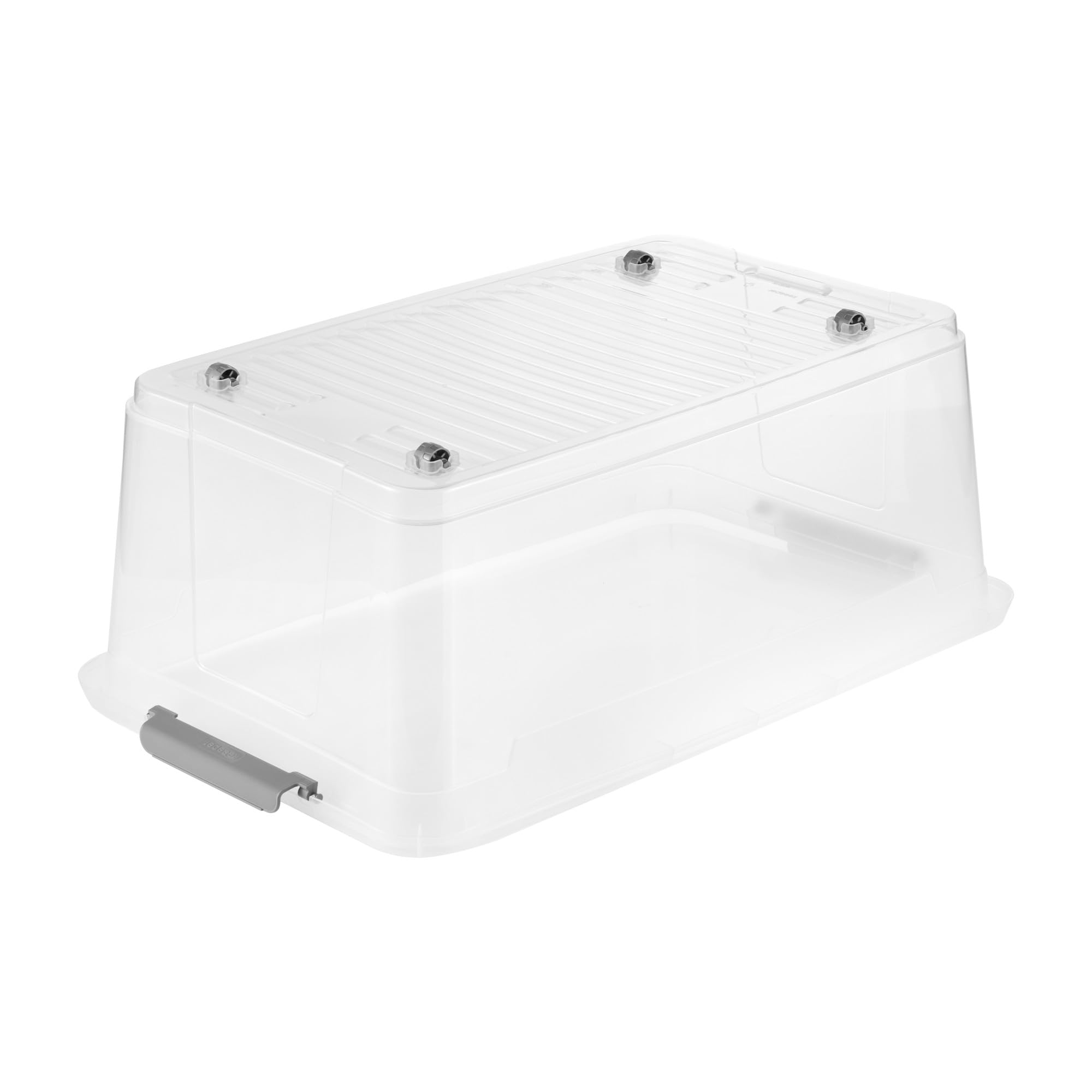 keeeper leo 4x Aufbewahrungsbox mit Deckel und Rollen, 37 L, 59 x 38 x 24 cm, Clipbox, Transparent