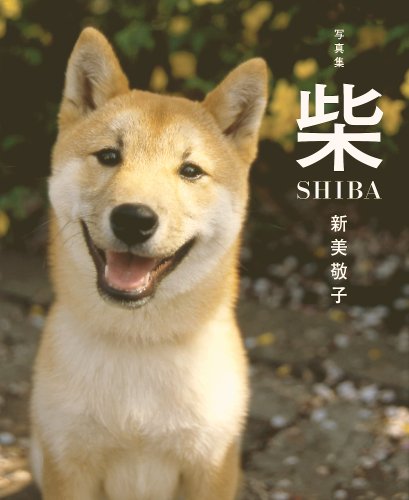 写真集 柴 Shiba 新美 敬子 本 通販 Amazon
