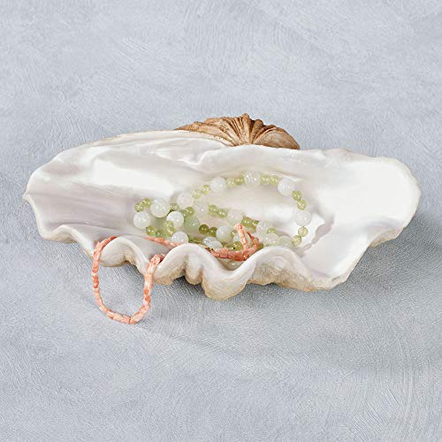 Touch Of Class Scallop Shell Coastal Decorative Tray - Resin - Pearl, Pink, Tan, Cream - Seashell Trinket Bowl For Bathroom, Bedroom, Vanity, Dresser, En Suite, Countertop, Kitchen Sink #TOP22