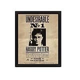 Harry Potter - Poster 3D Potter / Sirius, Negro, 10 x 8 x 1.3 cm Potter/Sirius