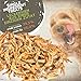 Hühnerfüße für Hunde 1 kg (ca. 45–55 Stück) | Luftgetrockneter Premium Kausnack | 100% Huhn | Zahnpflege & Gelenkunterstützung | getreidefrei & hypoallergen