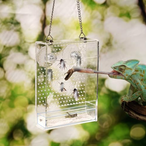 Bearded Dragon Feeder, Reptile Hunting Bowl with Calcium Powder Slot， Acrylic Chameleon Feeding Box, Wall-Mounted Insect Feeder for Lizard, Iguana, Gecko, Frog (Small)