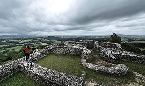 Steiner Safari Ultrasharp Binoculars Compact Lightweight Performance Outdoor Optics, 10X42 #TOP3