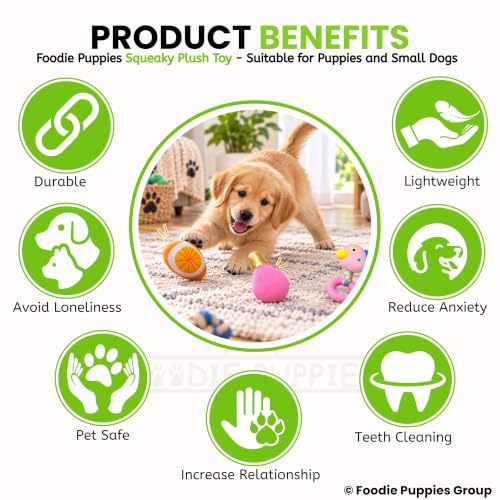 Image of Foodie Puppies Dog Squeaky Plush Toy - Receive 1 Random Plush Toy Only | Design May Vary | Soft & Durable Chew Toy for Puppies & Small Dogs | Playtime & Teething