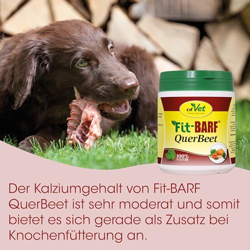 Fit-BARF QuerBeet für Hunde 2,5kg - Ergänzungsfutter Gemüse-Obst-Pulver für gesunde Rohfütterung