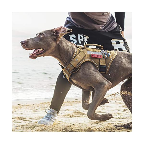 OneTigris Tactical Dog Harness No Pulling Adjustable Pet Harness Reflective Working Training Pet Vest Military Service Dog Harness Easy Control for Medium Large Dogs(Coyote Brown,M) OneTigris Tactical Dog Harness No Pulling Adjustable Pet Harness Reflective Working Training Pet Vest Military Service Dog Harness Easy Control for Medium Large Dogs(Coyote Brown,M)