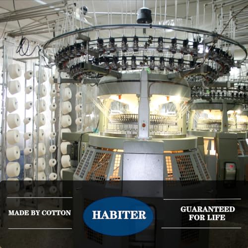 Women's Toe socks Cotton Lightweight No Show Five Fingers Running Socks 4 Pack4