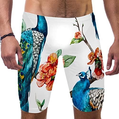 Swim Jammers para hombre bañador largo de entrenamiento y competición multicolor S